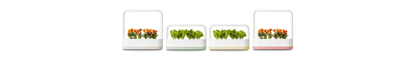 [On the Job] Organically Grown Innovation: LG tiiun