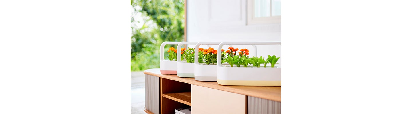 [On the Job] Organically Grown Innovation: LG tiiun