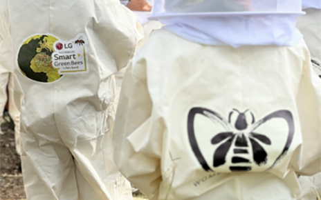 Staff of LG Smart Green Bees project working with staff from like-minded companies