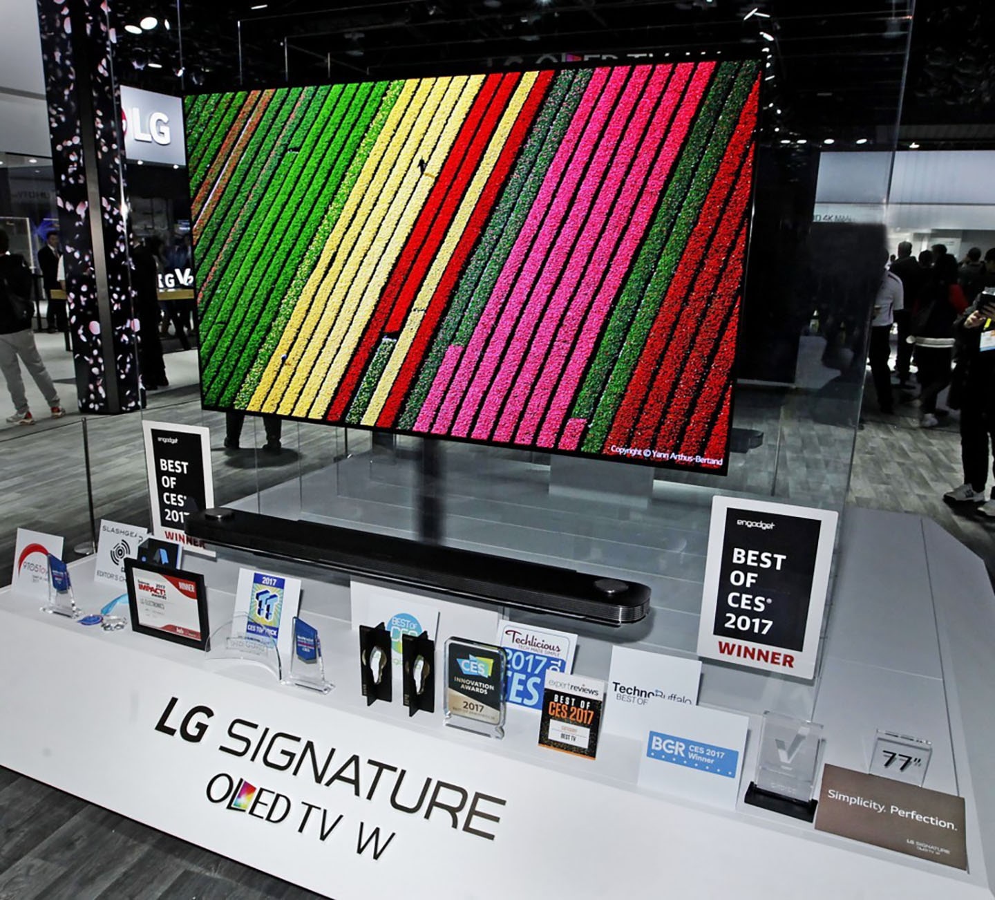 THE EVOLUTION OF LG OLED TV FROM OUTLIER TO PREMIUM CATEGORY LEADER