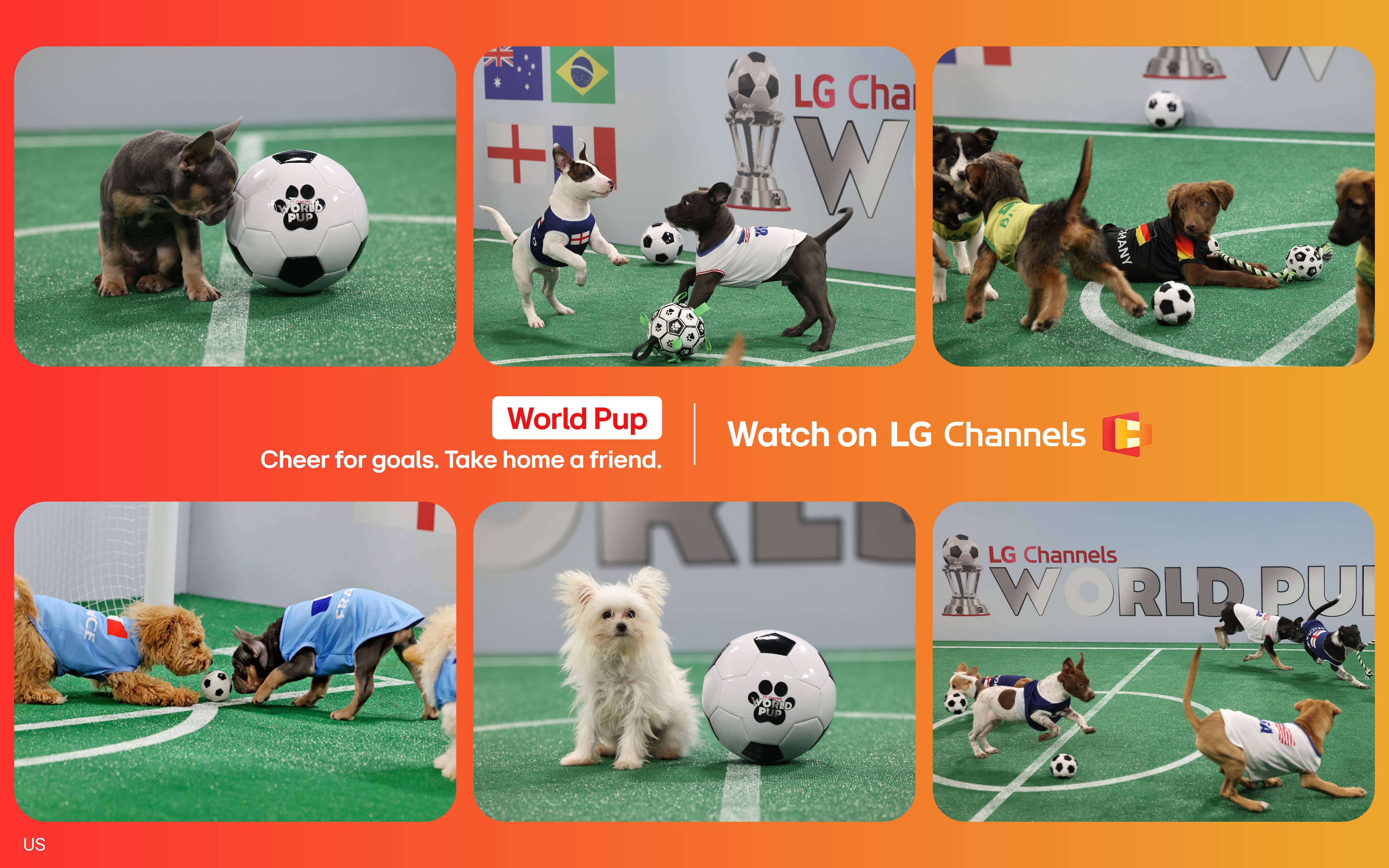 LG Channels 5000 Image 2