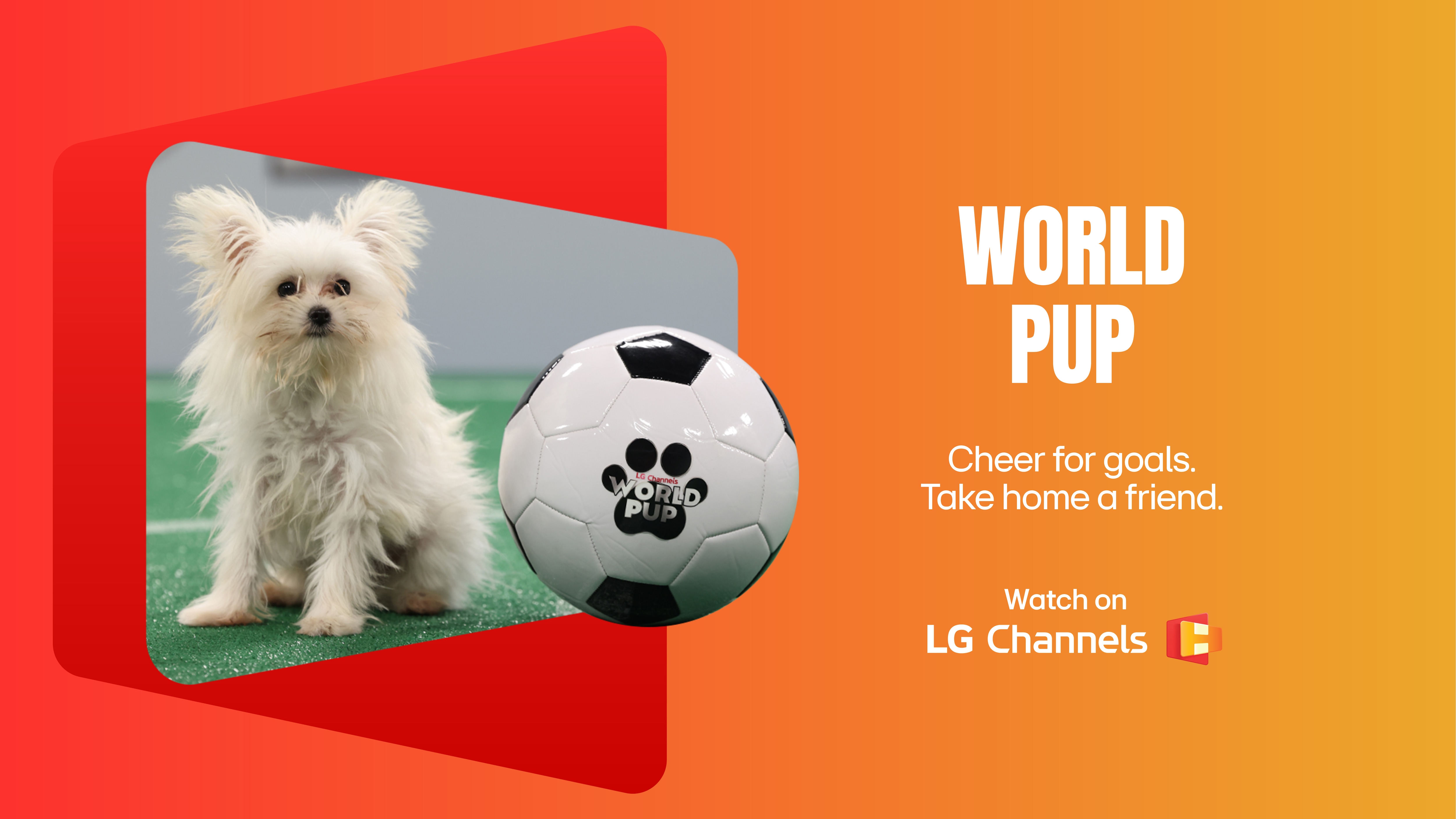 LG Channels 5000 Image 3