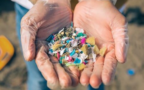 A picture of a hand holding pieces of trash