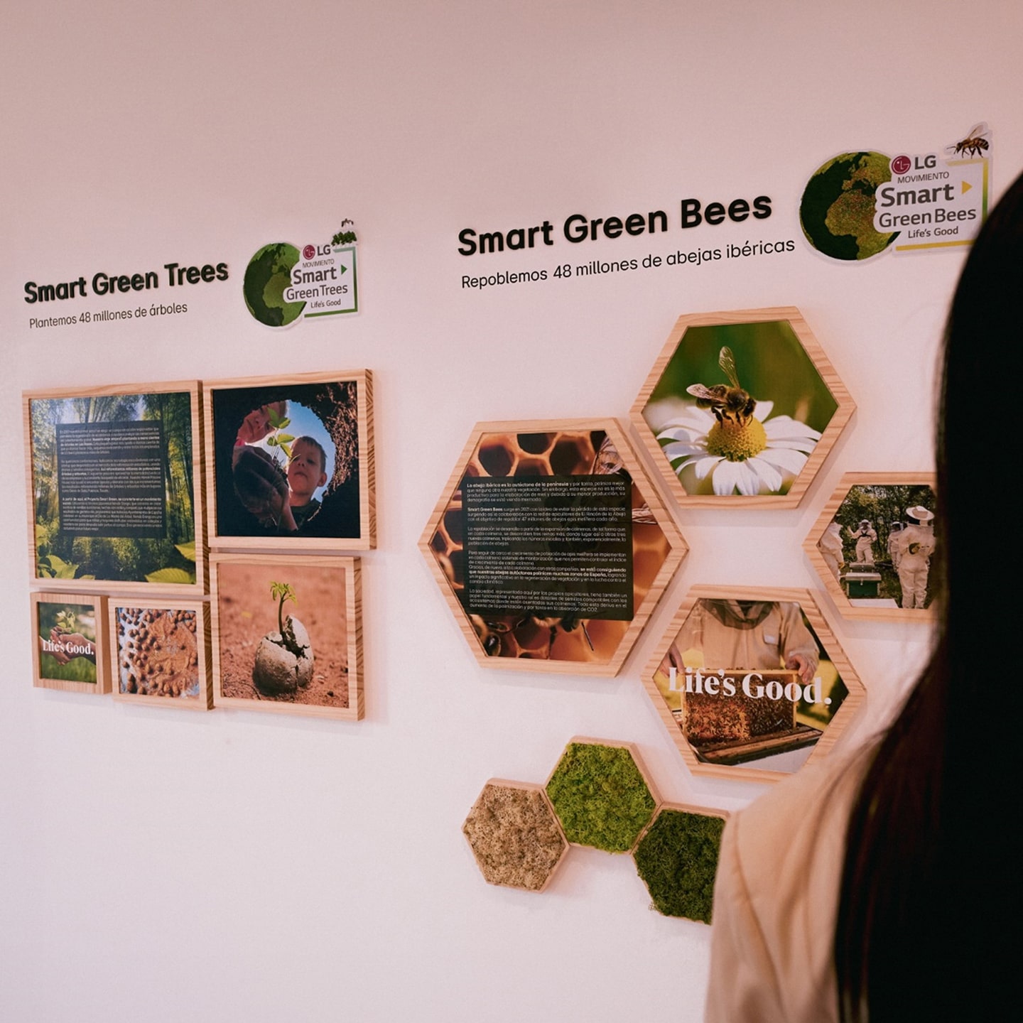 A picture of the Smart Green Trees and Bees images with explanations