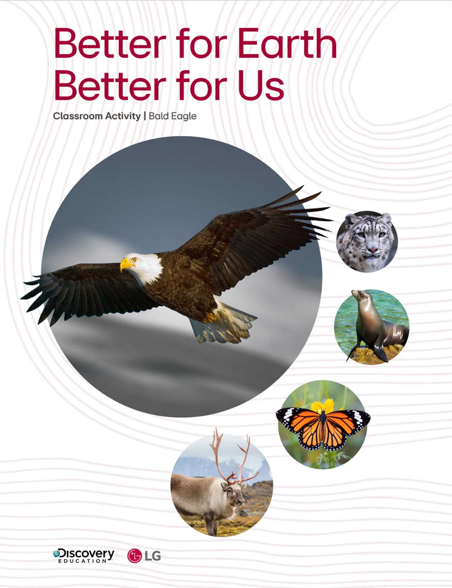 An illustration of images of animals with logo of Discovery Education and LG