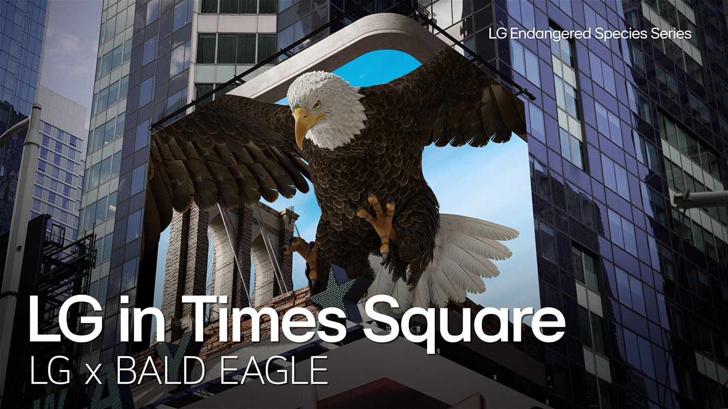 A picture of the 3D anamorphic experience on Times Square's billboard with the word 'LG in Times Square'
