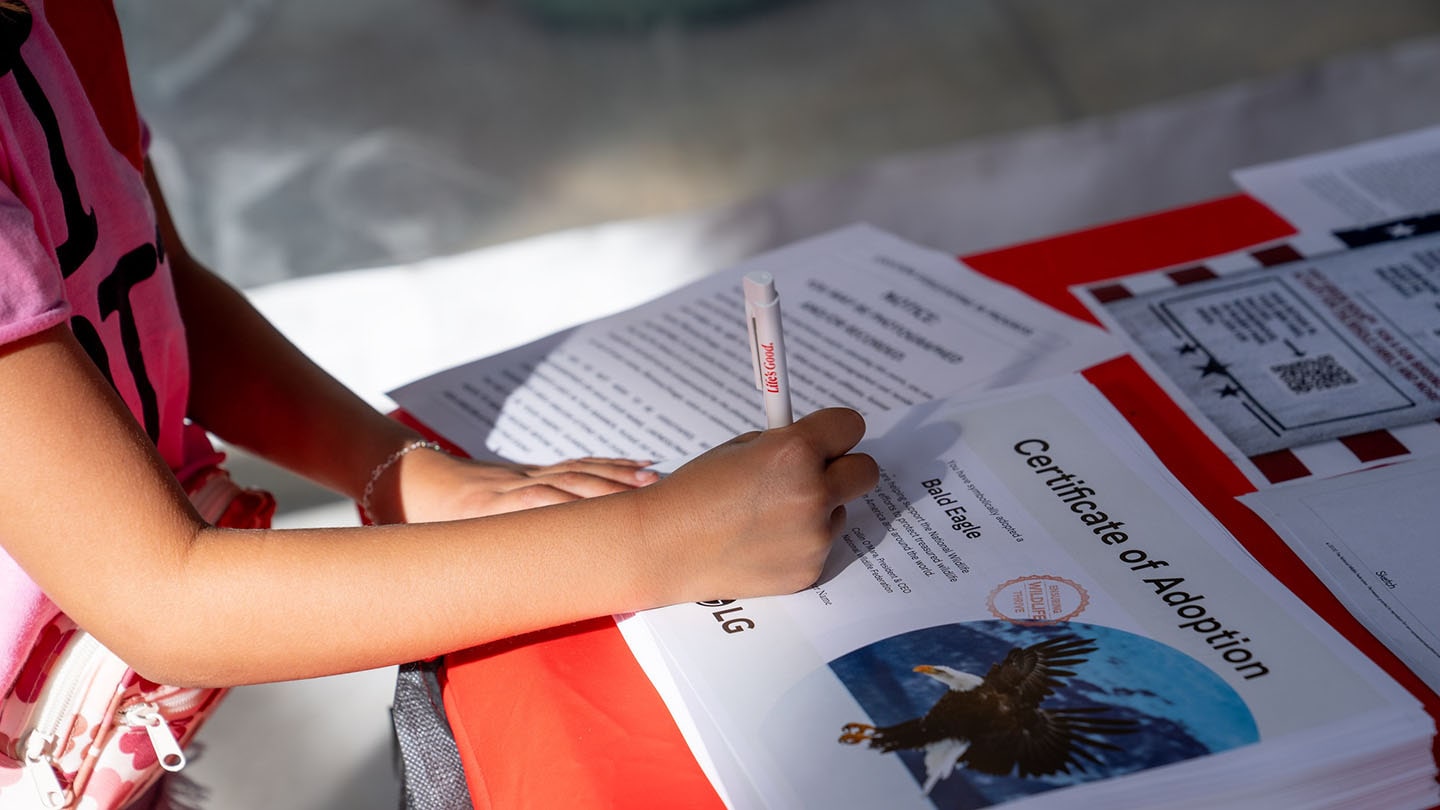A close-up picture of a child writing on a paper regarding LG's bald eagle campaign
