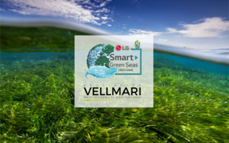 Smart Green Seas: Restoring the Mediterranean’s Ancient Underwater Forests