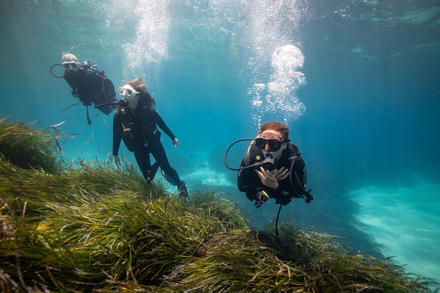 Smart Green Seas: Restoring the Mediterranean’s Ancient Underwater Forests