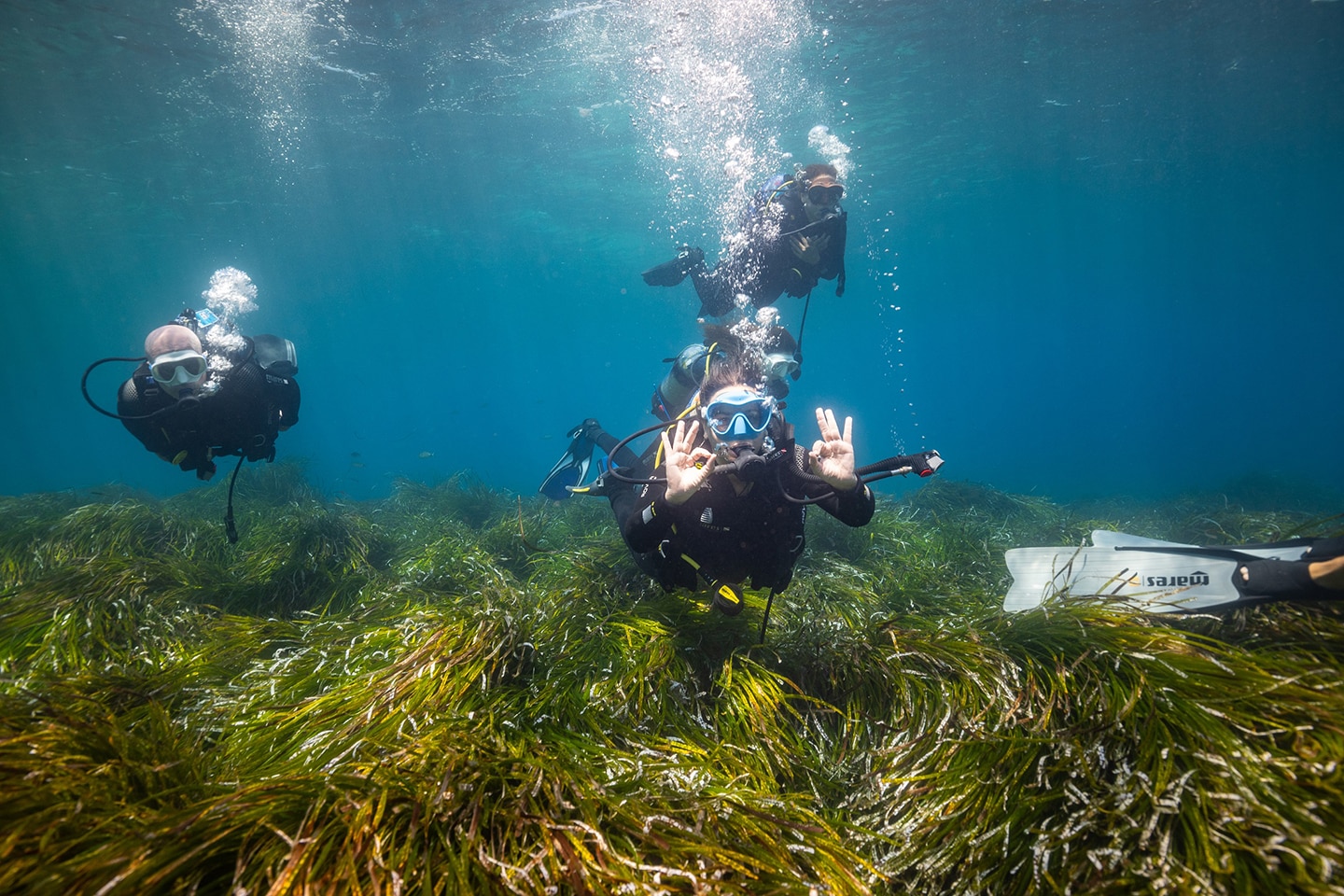 Smart Green Seas: Restoring the Mediterranean’s Ancient Underwater Forests
