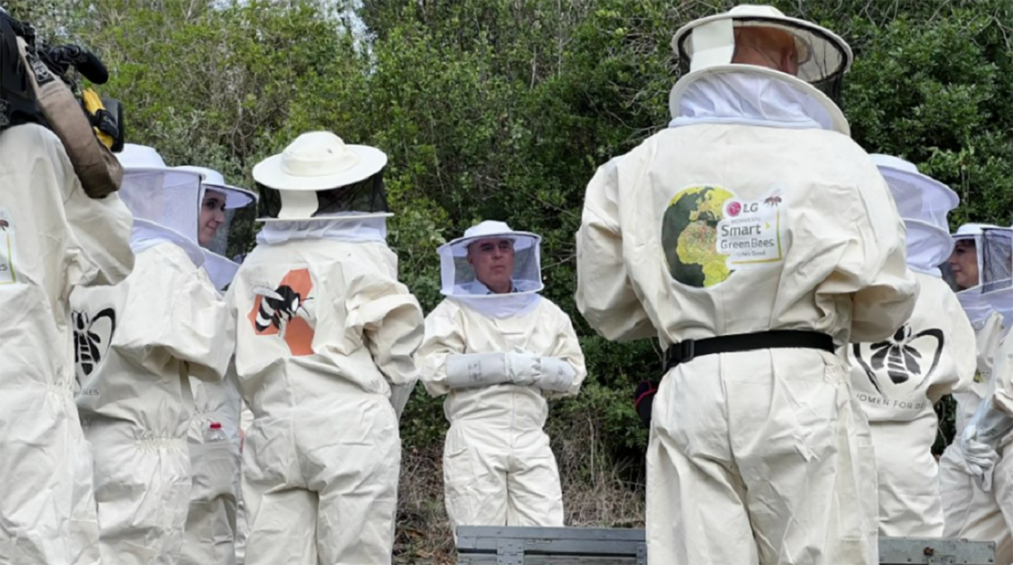 a photo of several people participating in the 'Smart Green Bees' project 
