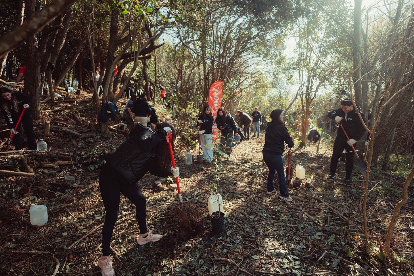 A picture of LG Argentina volunteers planting trees
