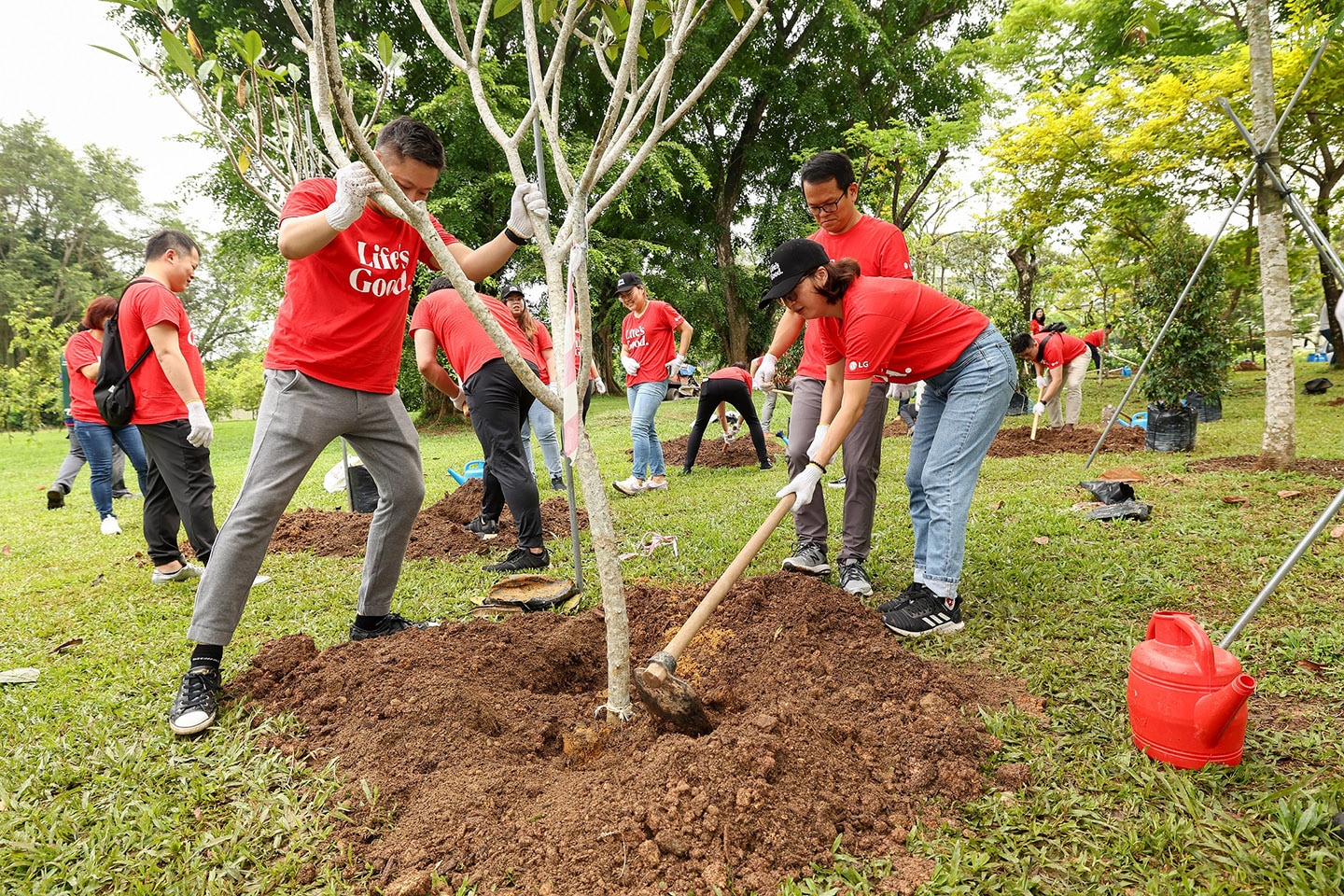 A picture of LG Singapore employees planting trees