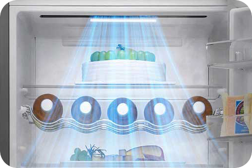 Built-in UV LED Light Keeps Your Water Clean