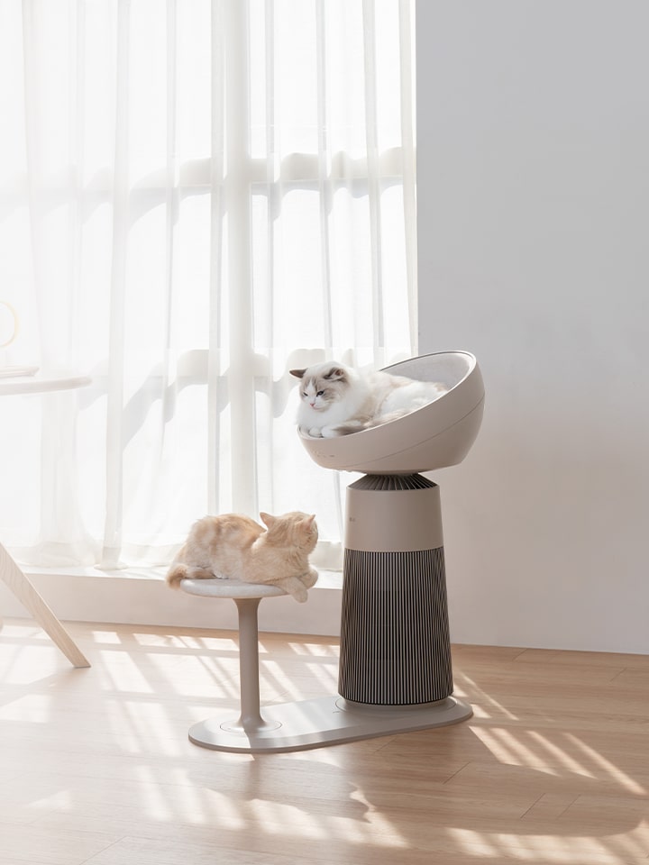AeroCatTower 