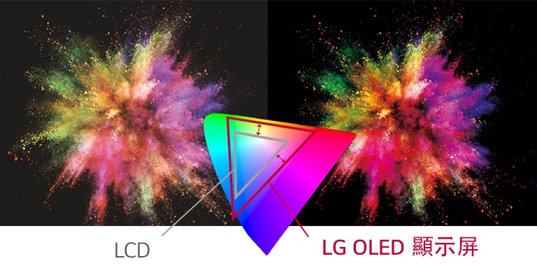 不同於 LCD，LG OLED 的豐富色彩能生動呈現物體。