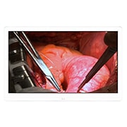27 吋 UHD 8MP 醫療手術顯示器 27HJ710S-W 的正視圖