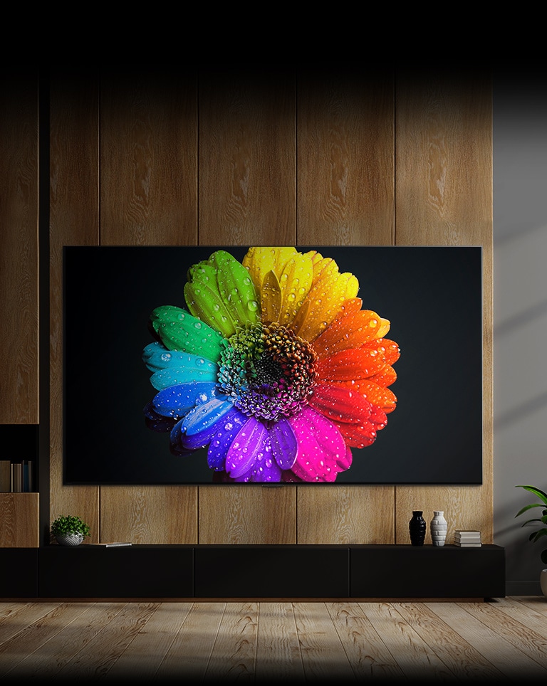 電視內部的迷你 LED 燈點亮並充滿整個電視顯示器，最終在電視上變成色彩絢麗的花朵。
