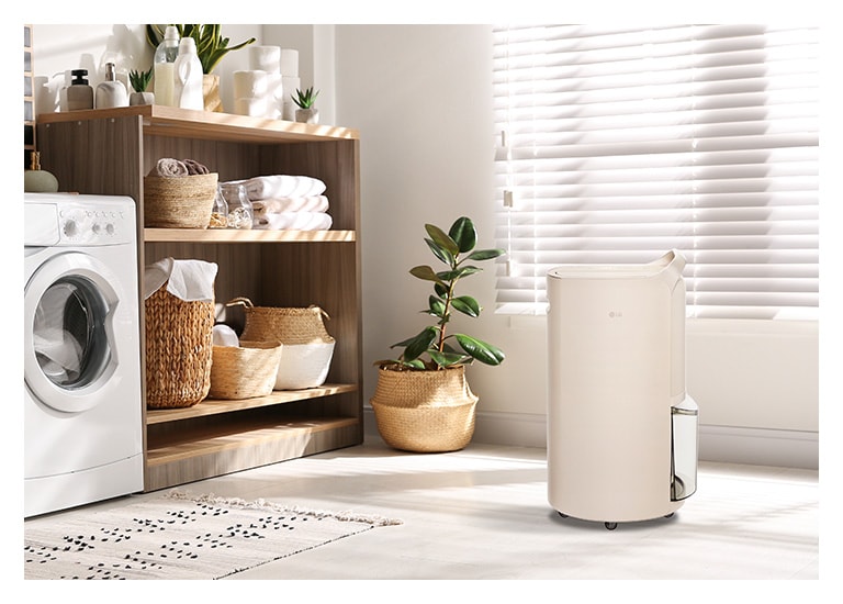 此影像主要呈現樺木白色的 LG Puricare™ Objet Collection 智能抽濕機，而背景是洗衣房。