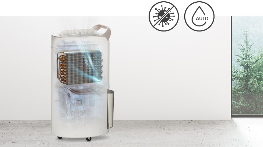 此影像顯示抽濕機內部的自動除濕功能可以抽乾水分並防止細菌滋生。