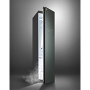 LG Styler 衣物護理機 Objet Collection 蒼林綠 (3 件衣服), S3GNF