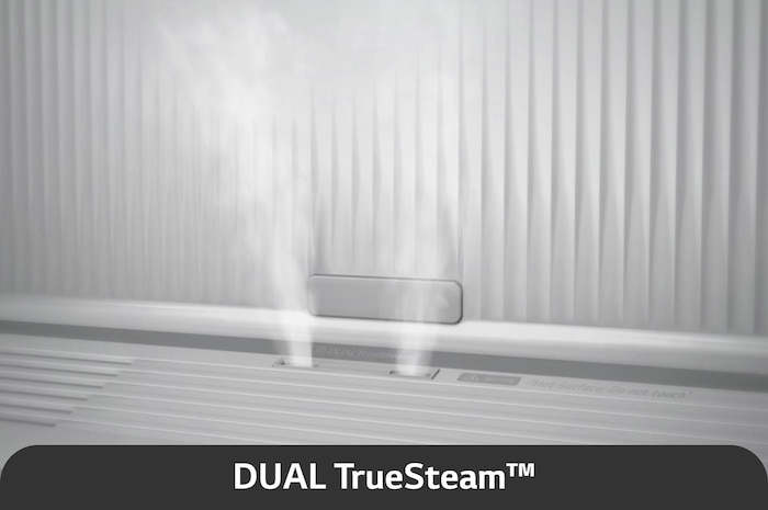 Dual TureSteam