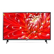 FHD TV LM6300 43LM6300PCB 的正視圖