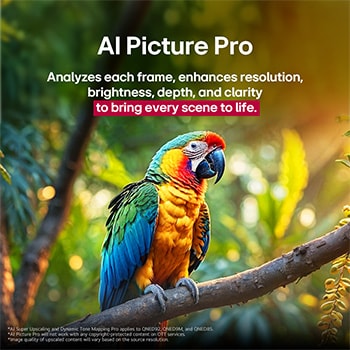 樹枝上的鸚鵡色彩生動。標題說明 LG Al Picture Pro 如何就場景的解像度、亮度、深度和清晰度實現驚人的視覺提升效果。