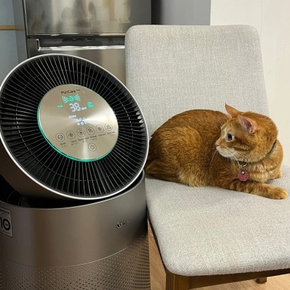 AP_Cat1
