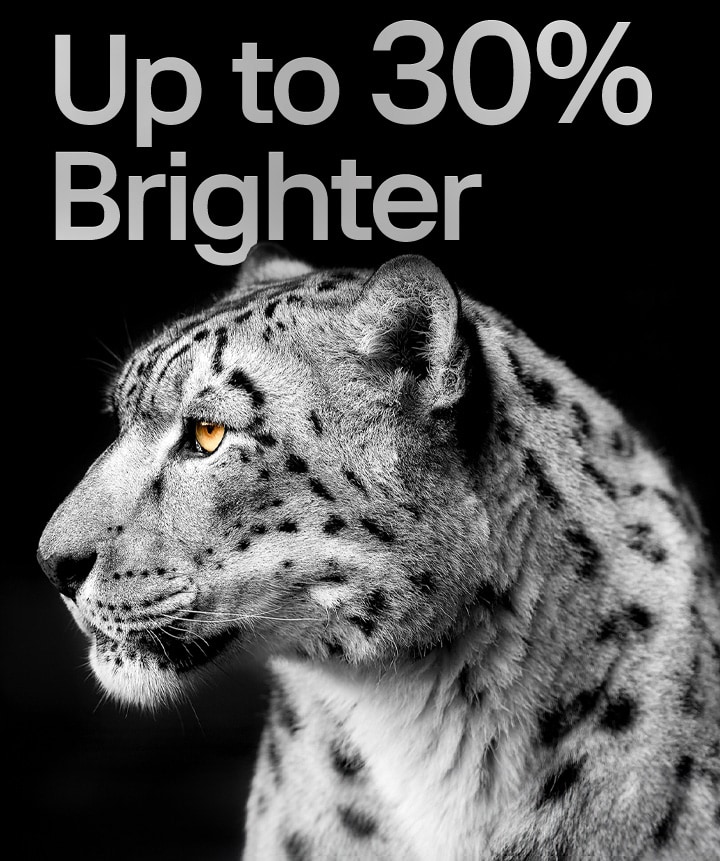 圖像左側顯示一隻白色豹子的側面。左側出現「高達 30% 亮度提升」的字樣。