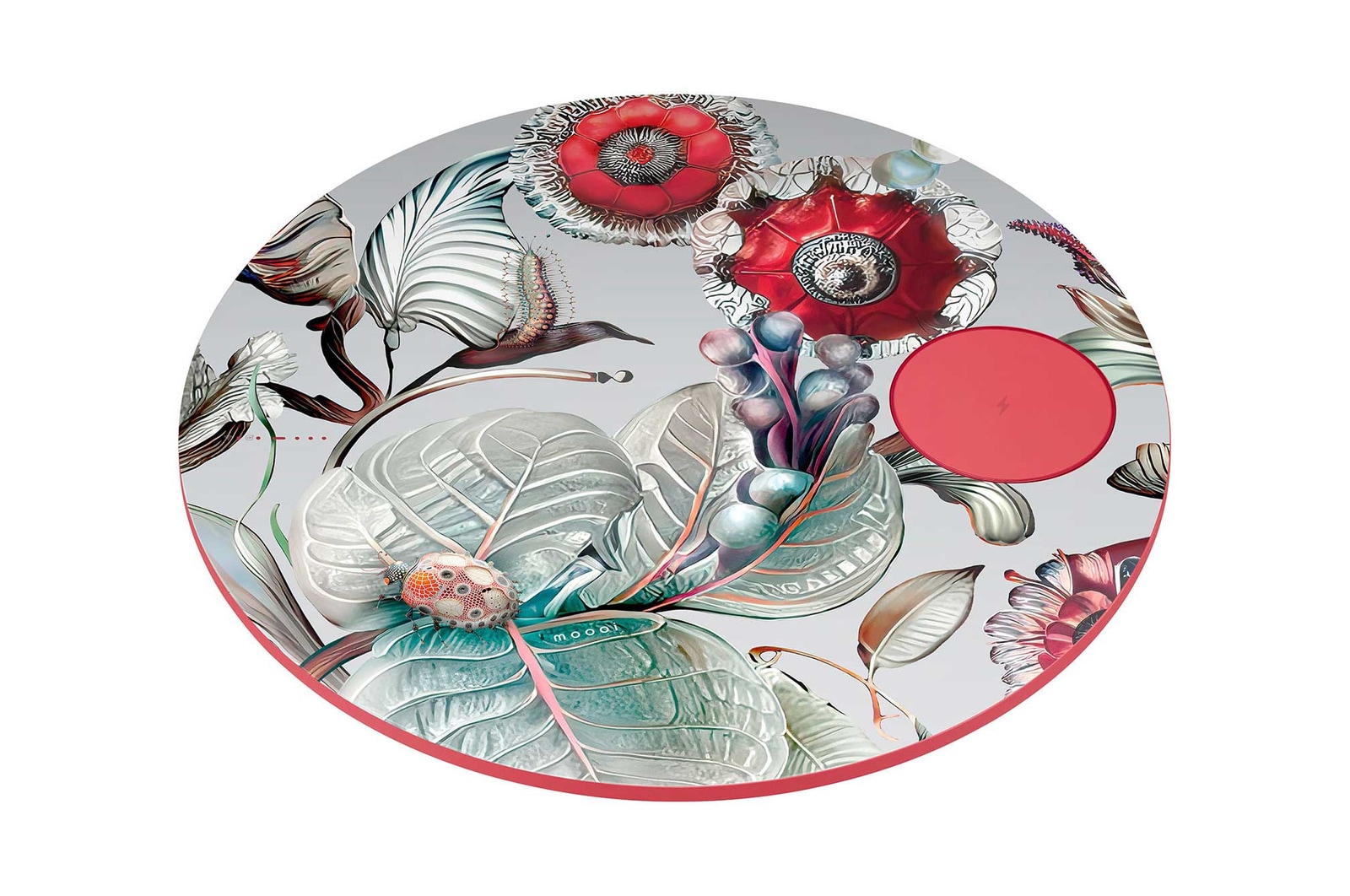 正面画像（側面）