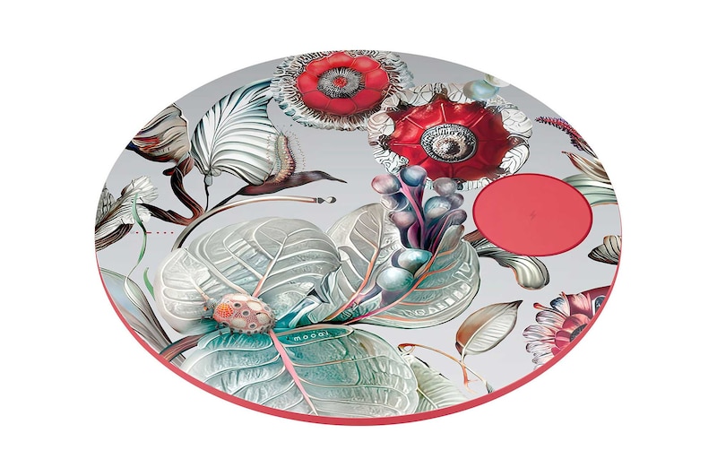 正面画像（側面）