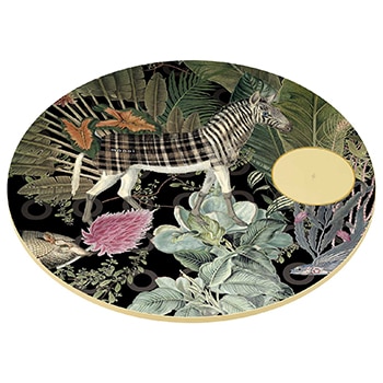 正面画像（側面）