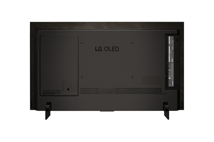 LG OLED evo C4 4K 智能電視的後面視圖