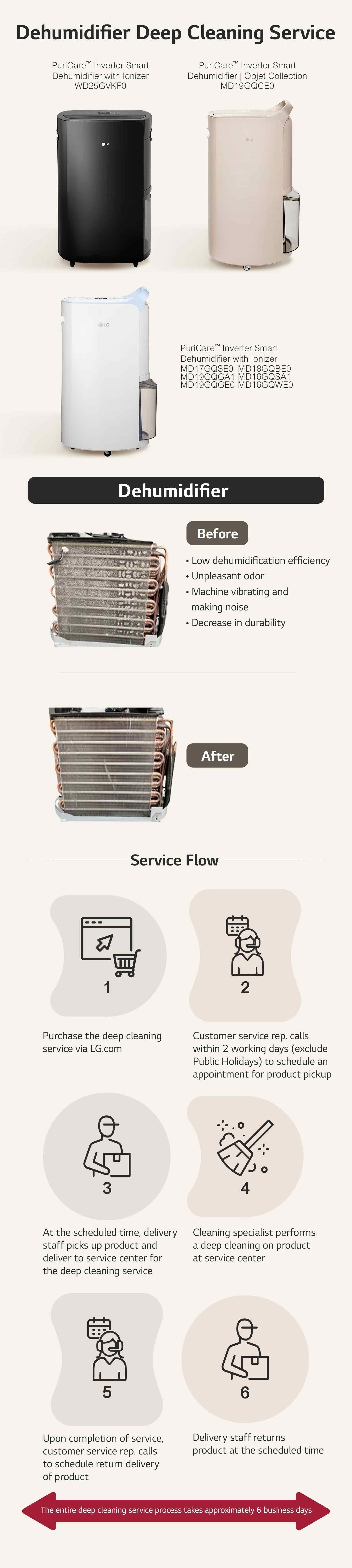 Dehumidifier Deep Cleaning Service  