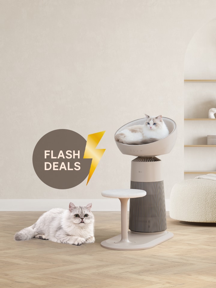 Black Friday - AeroCatTower Flash Deal