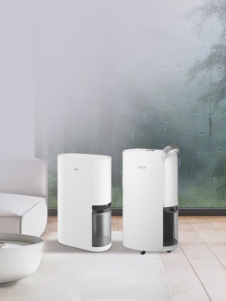  Dehumidifier Offer