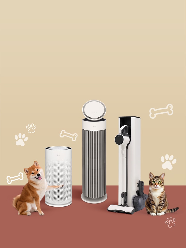 Pet Collection Offer