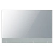 LG EW5G Series - 55'' Transparent OLED Signage, 55EW5G-V