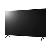 LG AN960H Series - 65" 4K UHD OLED Commercial Hotel TV, 65AN960H0CD
