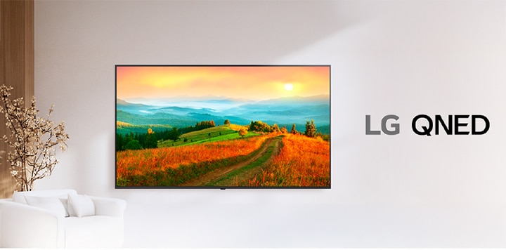 An LG QNED TV displays a screen with vivid colors and accurate color reproduction.