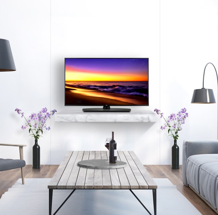 Sleek & Practical Design Hotel TV1