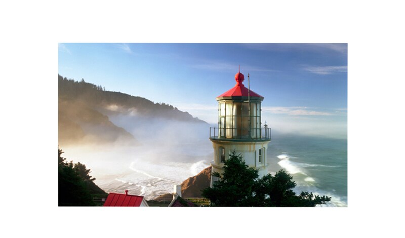 LG 49” class (46.96” diagonal), 49VL5B