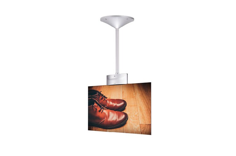 LG Dual-view Flat OLED Signage, 55EH5C-S