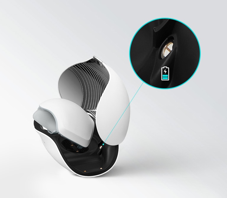 Lg wearable air purifier sales case