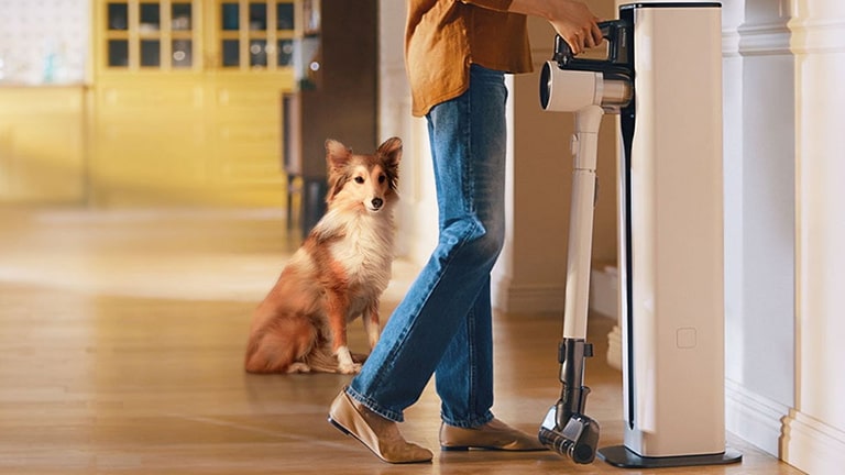 The must-have vacuum cleaner for pet families