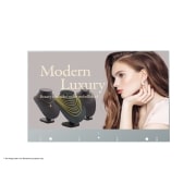 LG 55" Transparent OLED Signage, 55EW5F-A