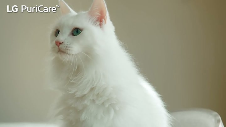 AeroCatTower