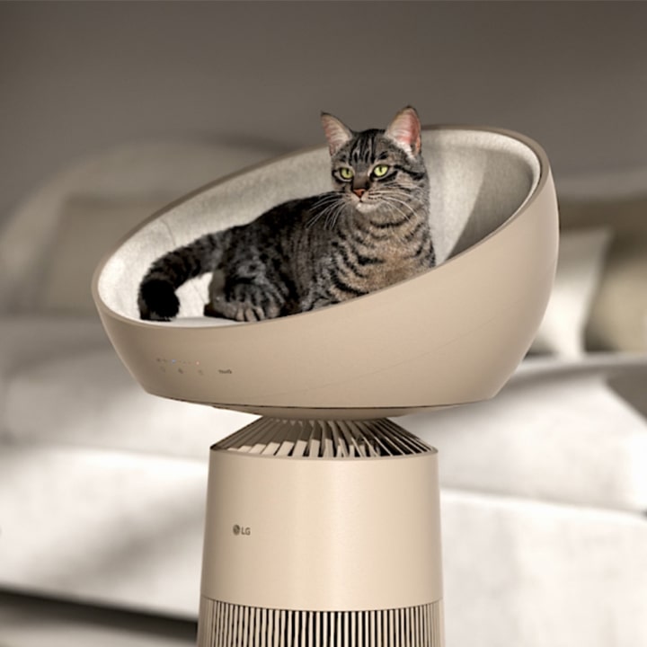 Video of an air purifier in the living room with a cat comfortably sitting on top	