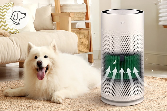 LG air purifier with pet mode, showing a dog nearby and filtration of pet hair and dander for cleaner air	